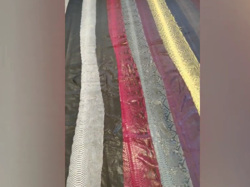 Yılan Derisi Vitrini